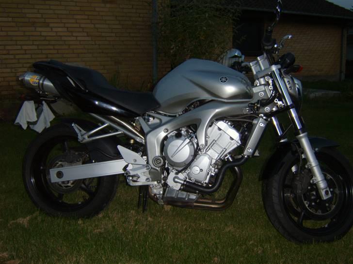 Yamaha FZ6-N billede 4