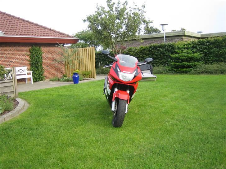 Honda CBR 600 F3 billede 6