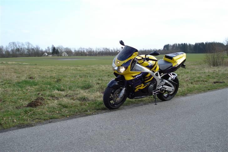 Honda CBR 900,  **SOLGT** - Forår -08 billede 3