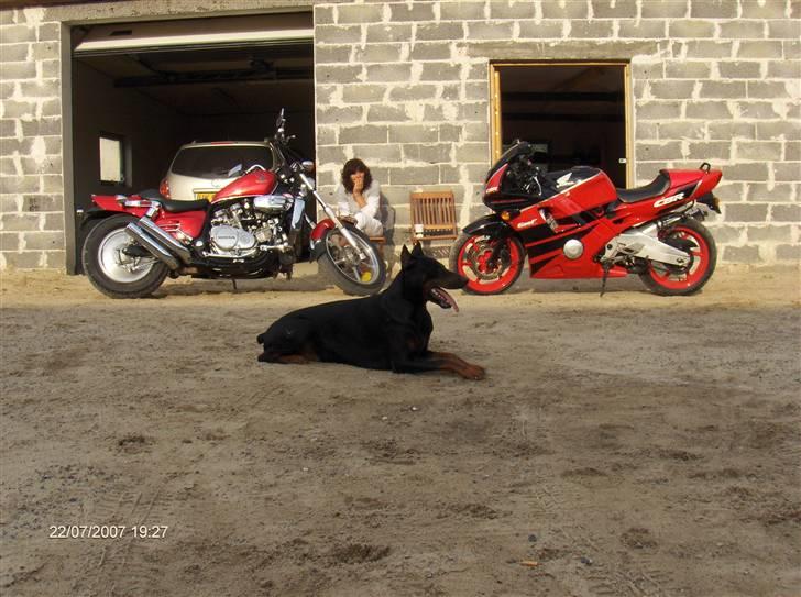 Honda Super Magna VF 700C - Mor, Far og "drengen" nyder en kop kaffe efter fyraften. alt skal ud i solen. billede 8