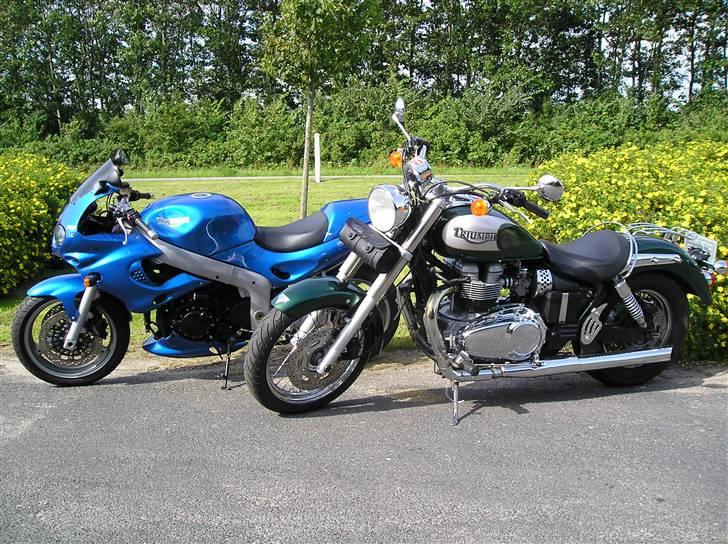 Triumph Sprint RS 955i solgt - her sammen med bossens, den gamle, triumph America billede 9