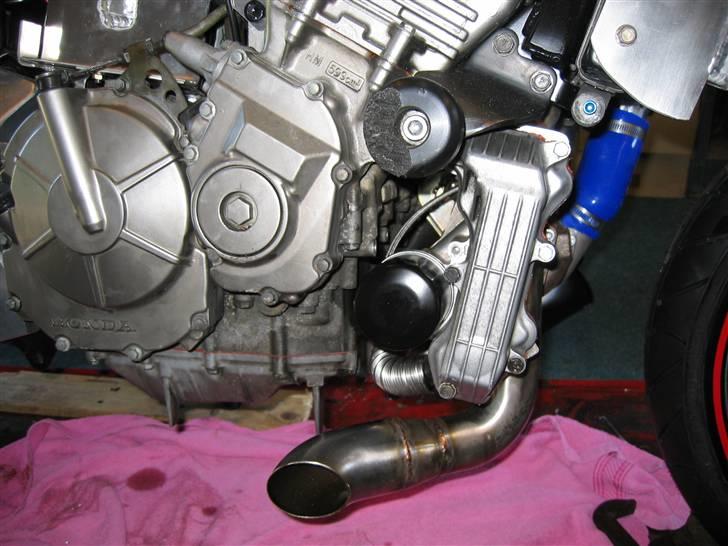 Honda hornet billede 2