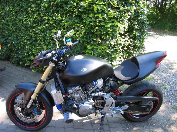 Honda hornet billede 5