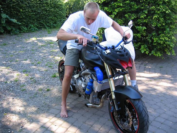 Honda hornet billede 7