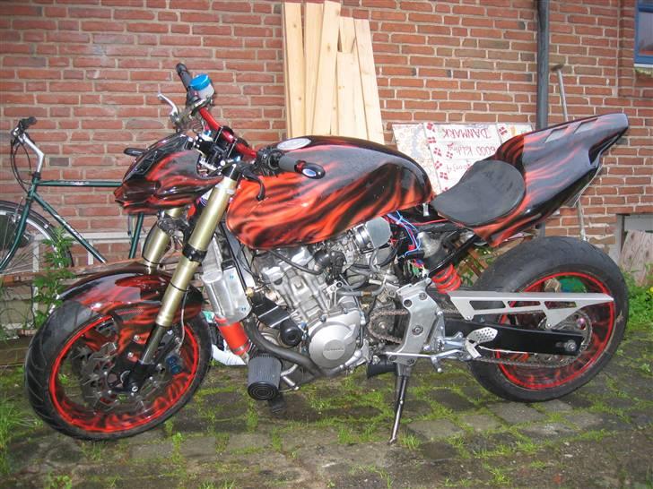Honda hornet billede 8