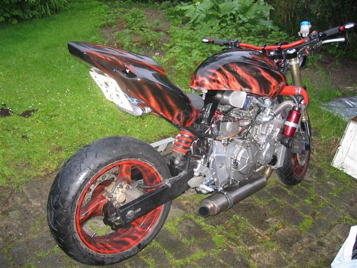 Honda hornet billede 9