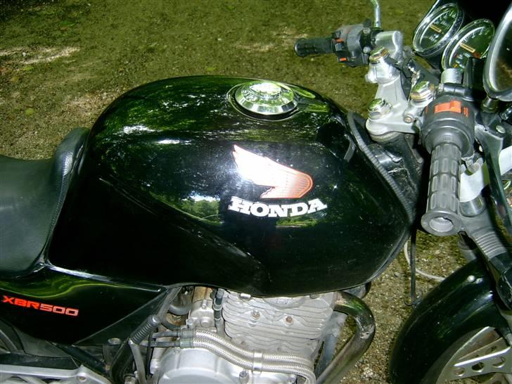 Honda XBR500  billede 3