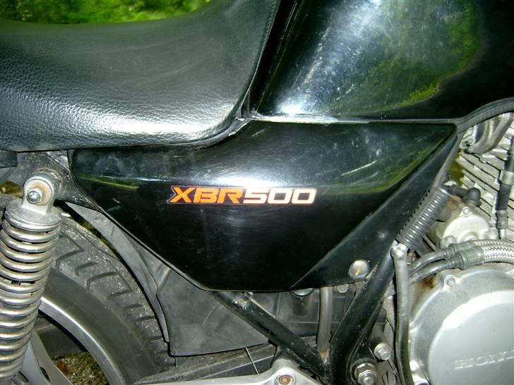 Honda XBR500  billede 4