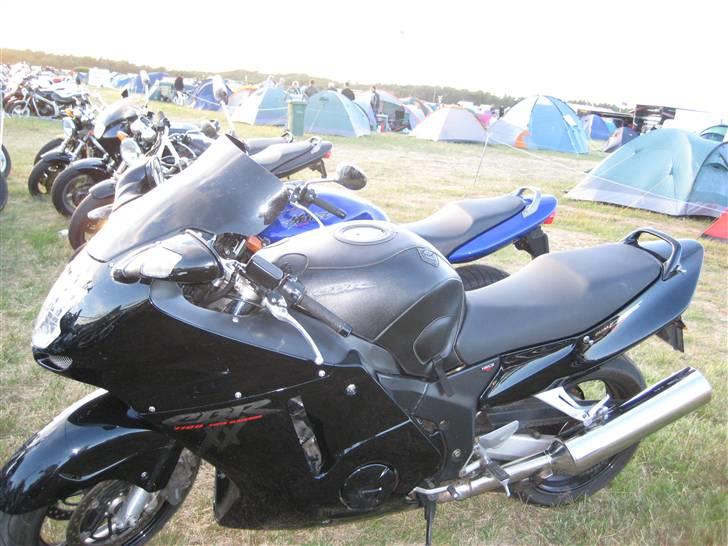 Honda Blackbird, SOLGT - Træf på toppen 2008 billede 14
