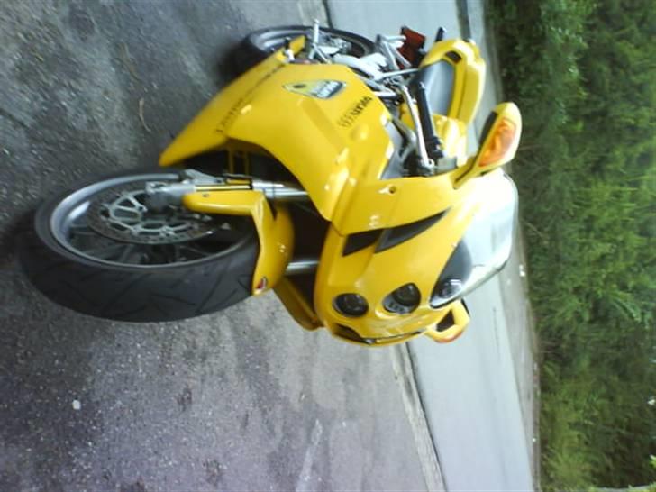 Ducati 999 testastretta billede 13