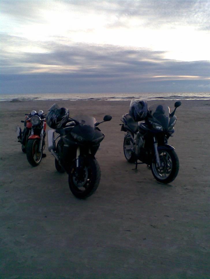 Yamaha FZ6 - vejers strand billede 14