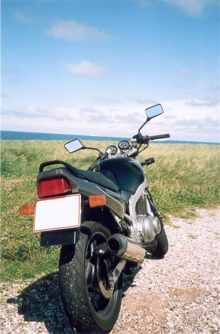 Suzuki GS 500E billede 10