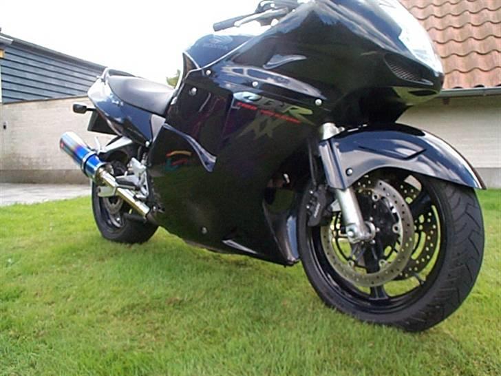 honda blackbird for sale gumtree