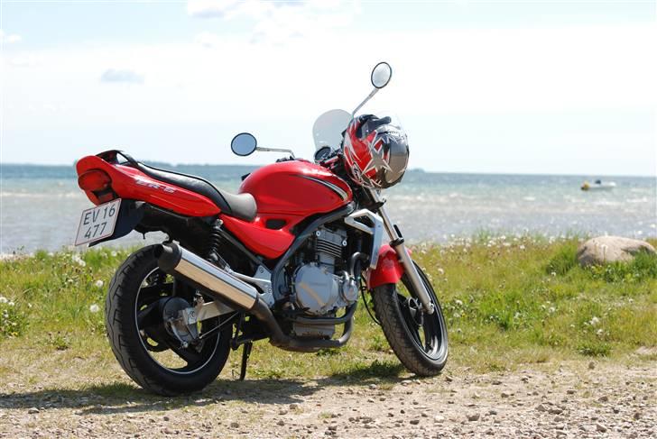 Kawasaki ER-5 - På Stranden billede 1