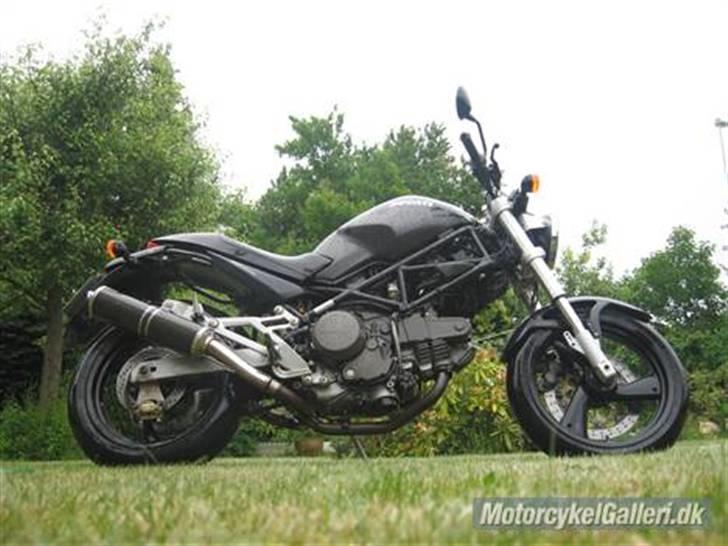 Ducati Monster 600 Dark billede 6