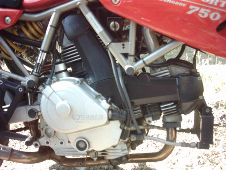 Ducati 750 SuperSport Nuda billede 3