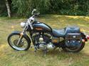 Harley Davidson xl 1200 custom