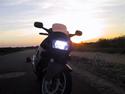 Honda CBR 600  *SOLGT*