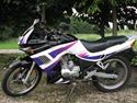 Geely MIG JL 150 - 28