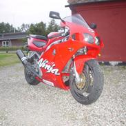 Kawasaki ZX7R NINJA (R.I.P.)