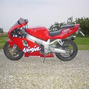 Kawasaki ZX7R NINJA (R.I.P.)
