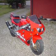 Kawasaki ZX7R NINJA (R.I.P.)