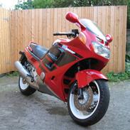 Honda CBR1000F *SOLGT*