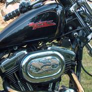 Harley Davidson xl 1200 custom