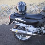 Honda CBR 600  *SOLGT*