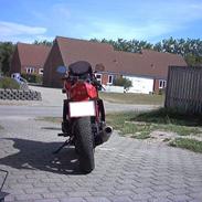 Kawasaki gpz 1100 unitrack