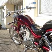 Suzuki intruder