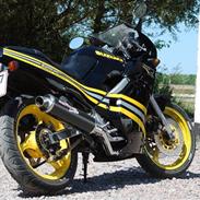 Suzuki GSX-R 250