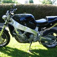 Yamaha FZR1000 Streetfighte