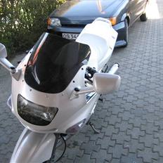 Kawasaki ZZR 600 SOLGT