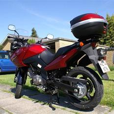 Suzuki V-Strom DL650AK7