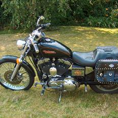 Harley Davidson xl 1200 custom