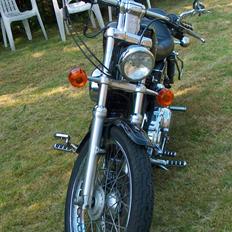 Harley Davidson xl 1200 custom