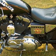 Harley Davidson xl 1200 custom