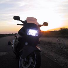 Honda CBR 600  *SOLGT*