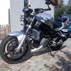 Suzuki SV1000 "StreetFighter"