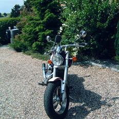 Suzuki vz 800 marauder