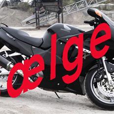 Honda CBR1100XXSuperBlackBird
