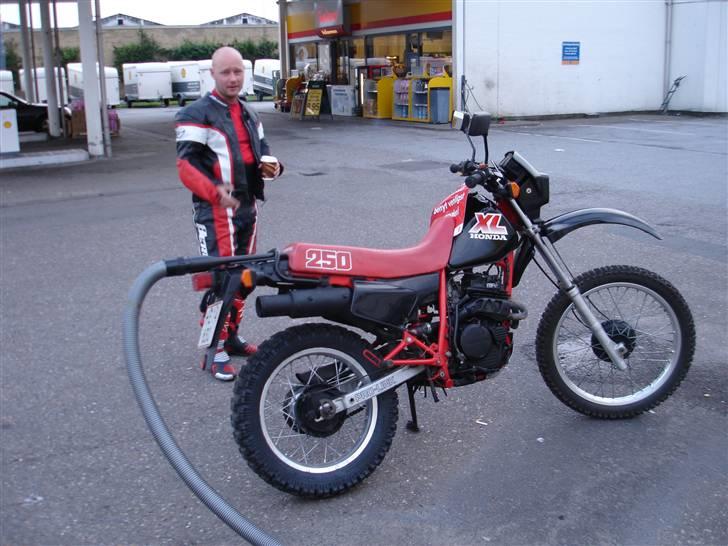 Honda XL250 Fuck'mo'biken billede 5
