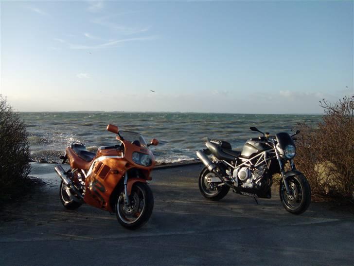 Yamaha TRX 850 solgt - min og min kammis bikes billede 6