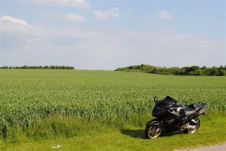 Honda cbr 1100 xx SOLGT - Foto fra sommer 2011 billede 13