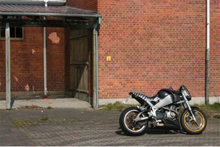 Buell Solgt billede 9