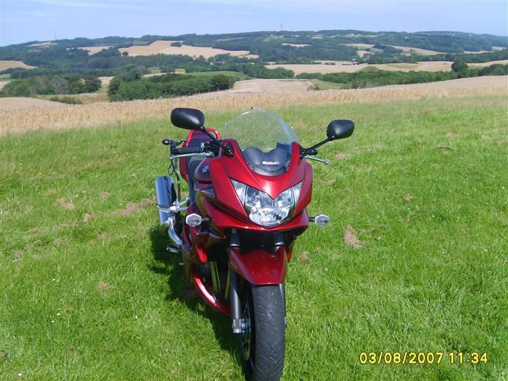 Suzuki GSF 650S Bandit billede 8