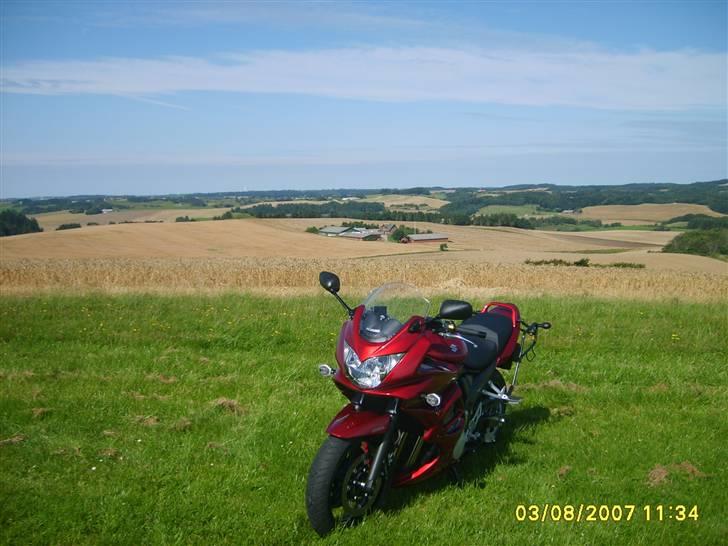 Suzuki GSF 650S Bandit billede 9