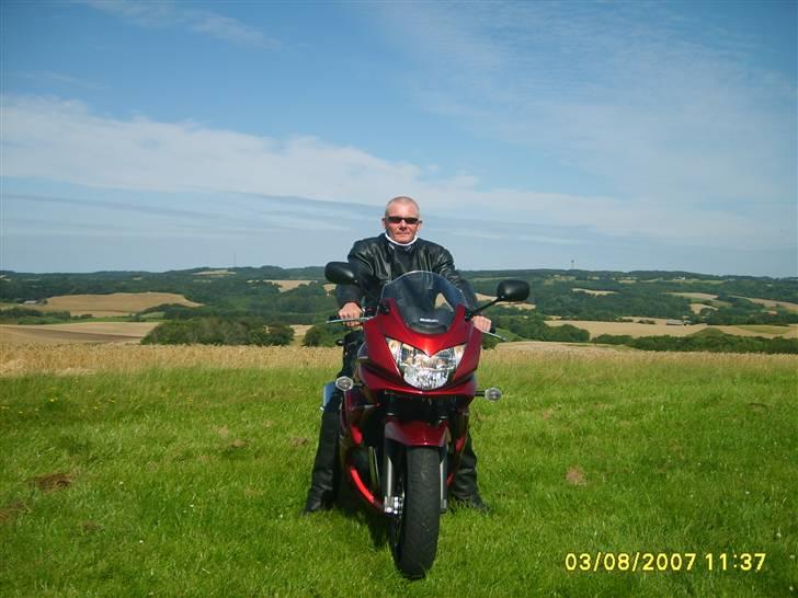 Suzuki GSF 650S Bandit billede 10