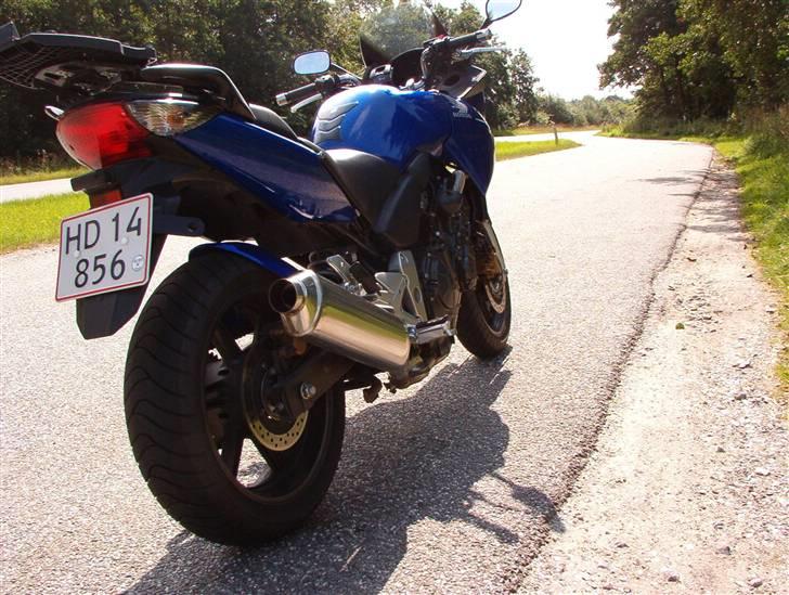 Honda CBF 600 SA billede 15